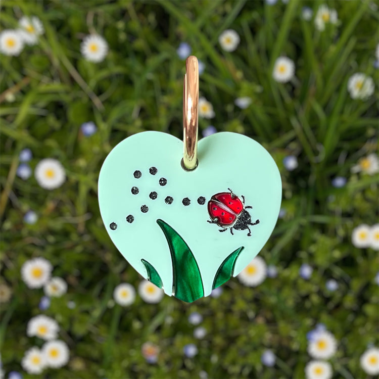 Ladybug Love Hoops