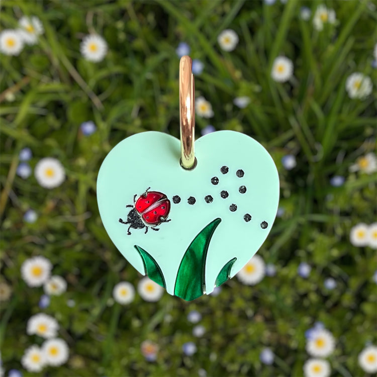 Ladybug Love Hoops
